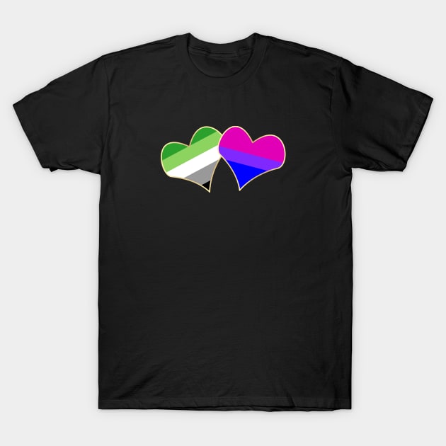 Double Attraction (Aro/Bi) T-Shirt by traditionation